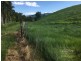 Japoonvale QLD 4856
