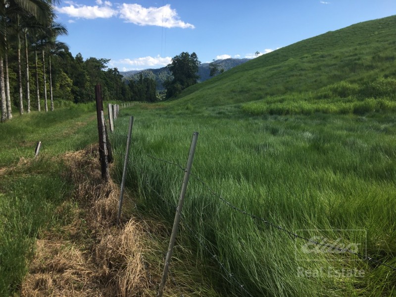 Japoonvale QLD 4856