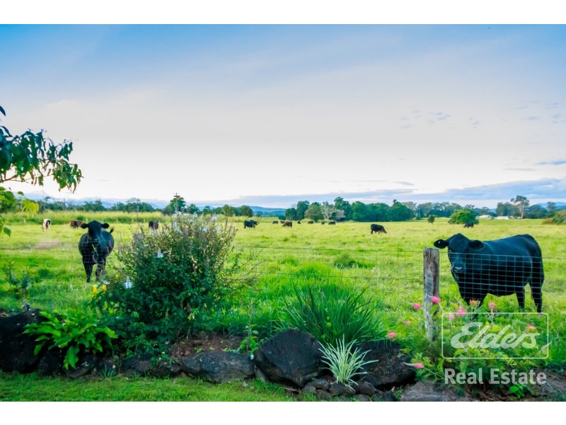 Yungaburra QLD 4884