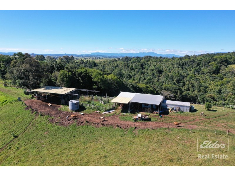 Upper Barron QLD 4883