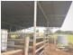 Upper Barron QLD 4883