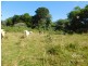 Ravenshoe QLD 4888