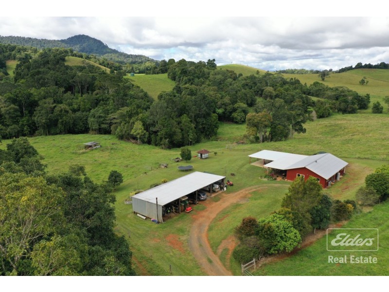 Millaa Millaa QLD 4886