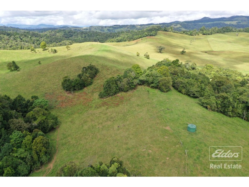 Millaa Millaa QLD 4886