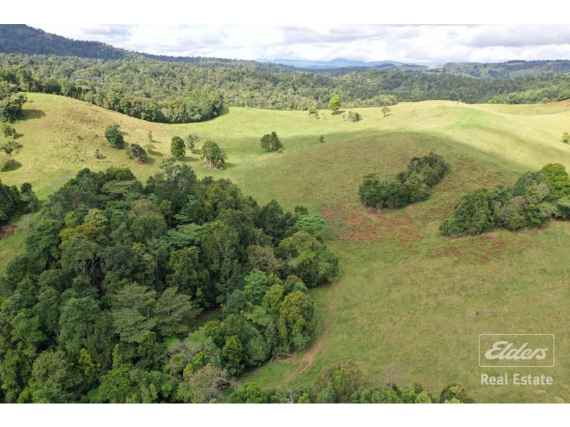 Millaa Millaa QLD 4886