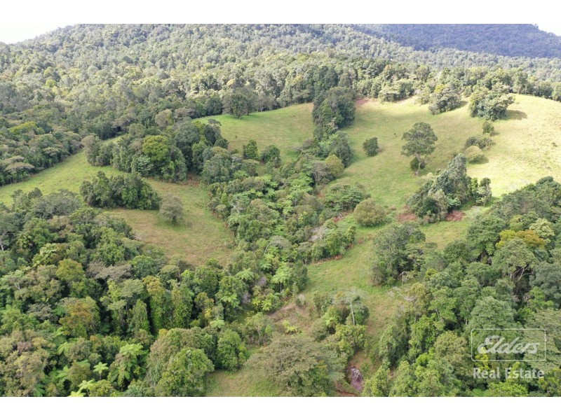 Millaa Millaa QLD 4886