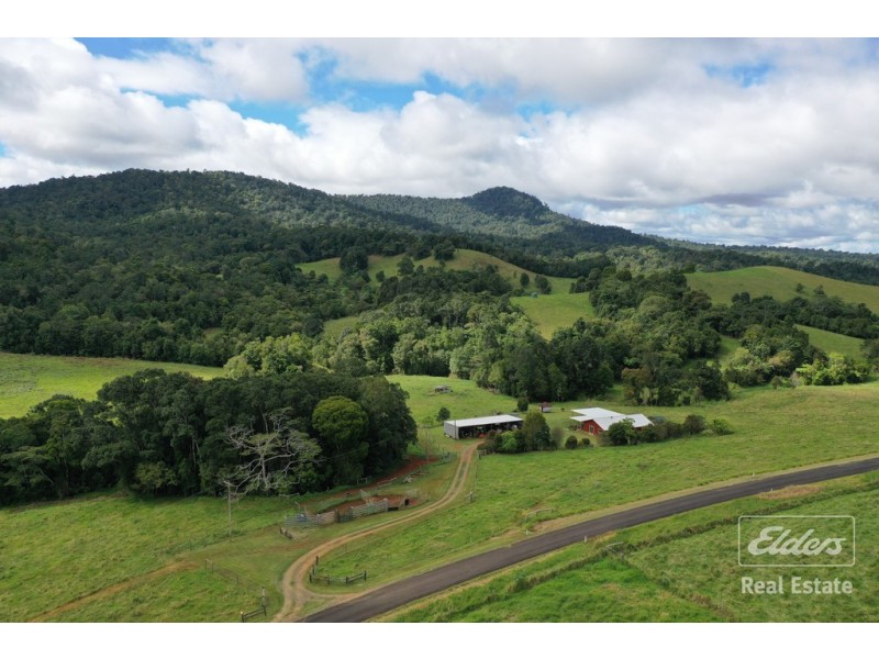 Millaa Millaa QLD 4886