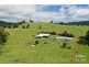 Millaa Millaa QLD 4886