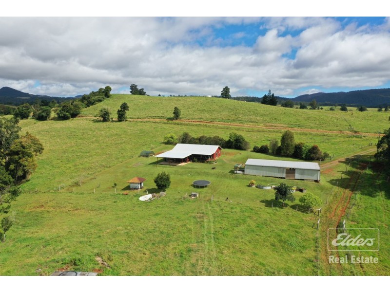 Millaa Millaa QLD 4886