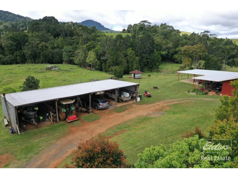 Millaa Millaa QLD 4886