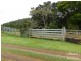 Millaa Millaa QLD 4886