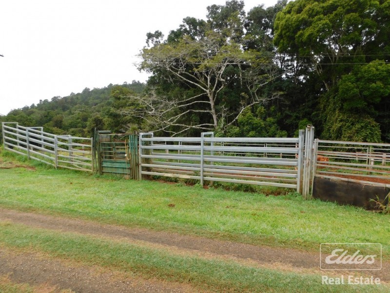 Millaa Millaa QLD 4886
