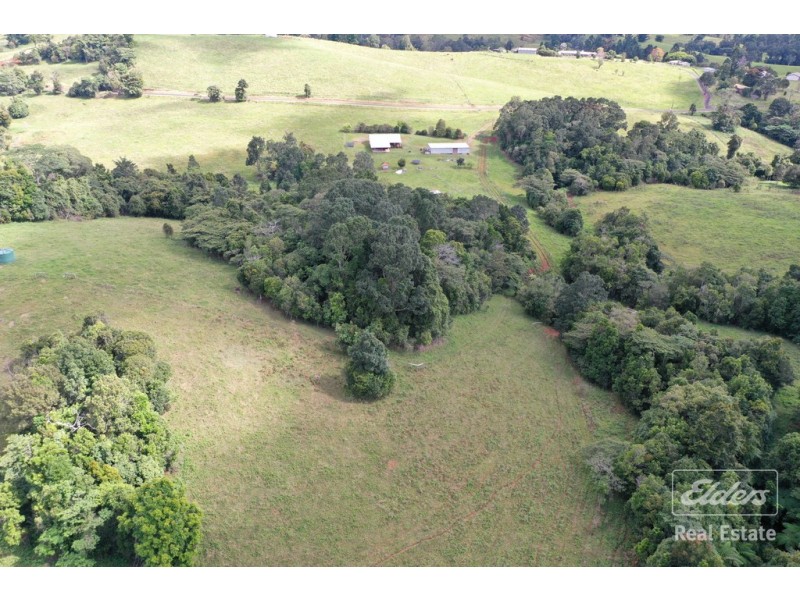 Millaa Millaa QLD 4886