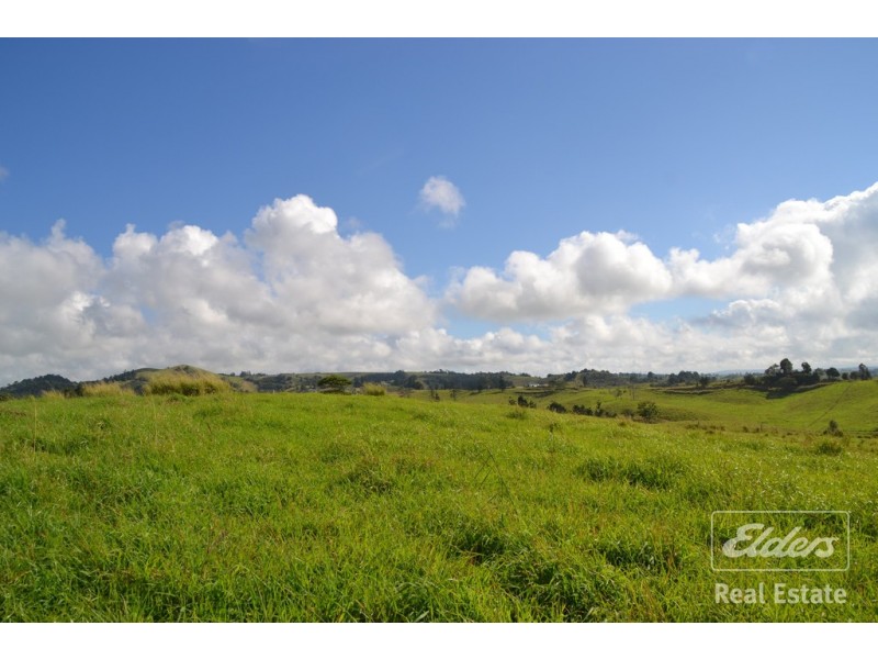 Millaa Millaa QLD 4886