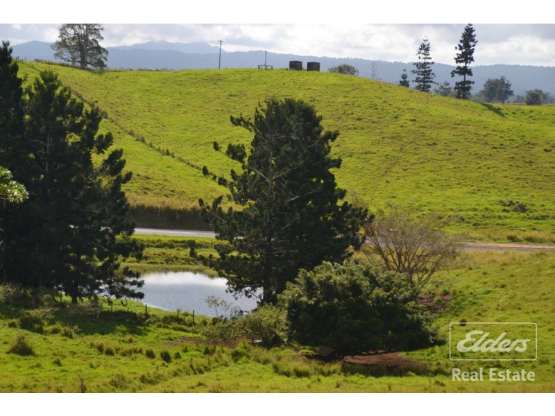 Millaa Millaa QLD 4886