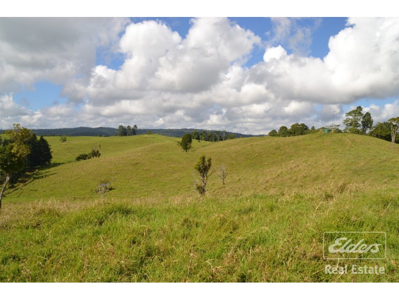 Millaa Millaa QLD 4886