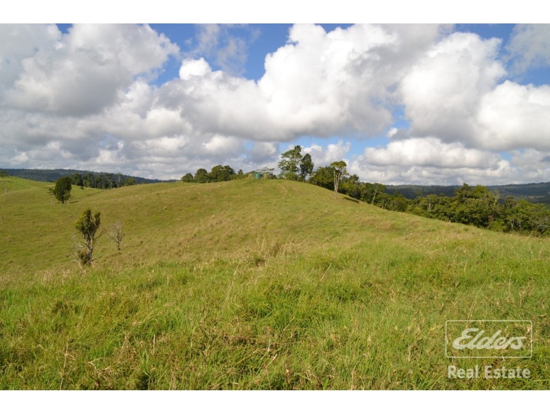 Millaa Millaa QLD 4886