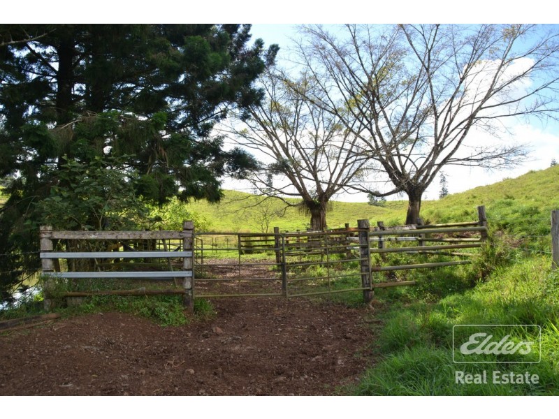 Millaa Millaa QLD 4886