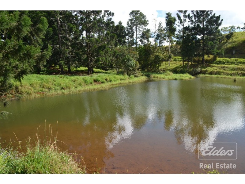 Millaa Millaa QLD 4886