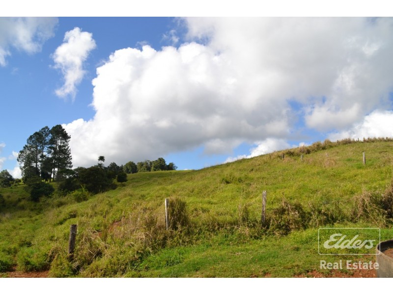 Millaa Millaa QLD 4886