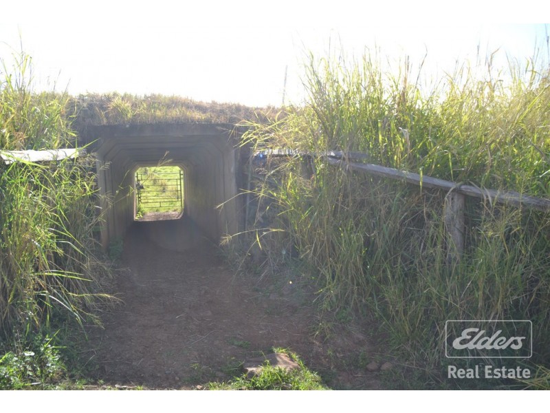 Millaa Millaa QLD 4886