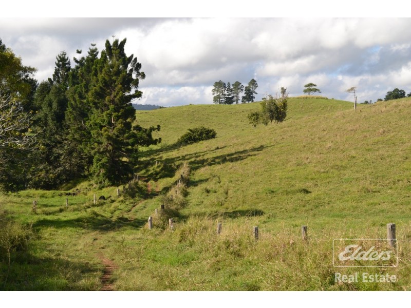 Millaa Millaa QLD 4886