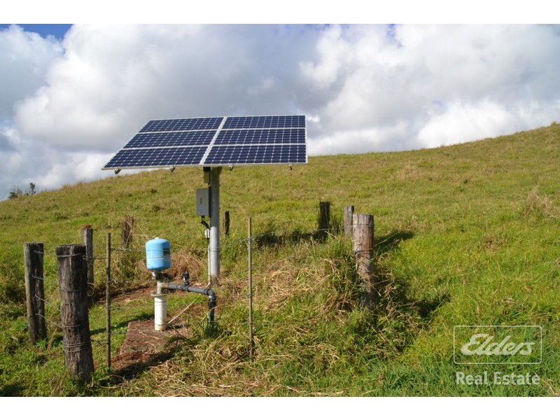 Millaa Millaa QLD 4886