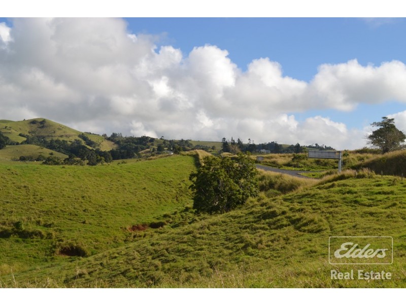 Millaa Millaa QLD 4886