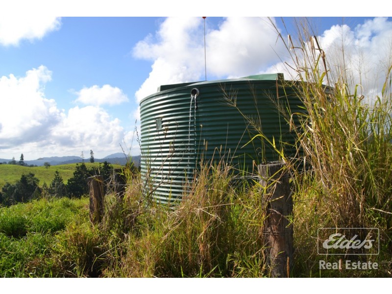 Millaa Millaa QLD 4886