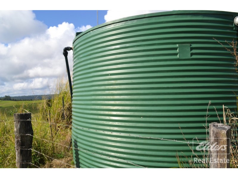 Millaa Millaa QLD 4886