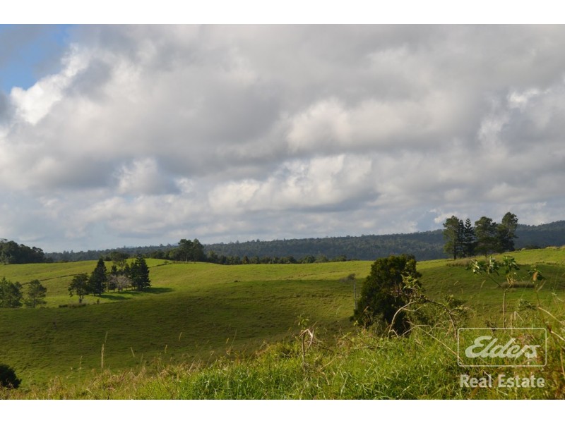 Millaa Millaa QLD 4886