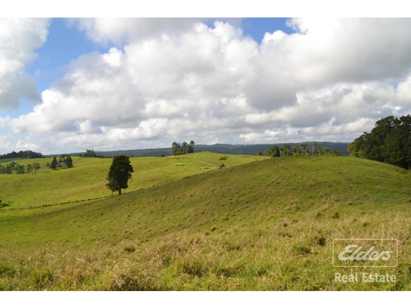 Millaa Millaa QLD 4886