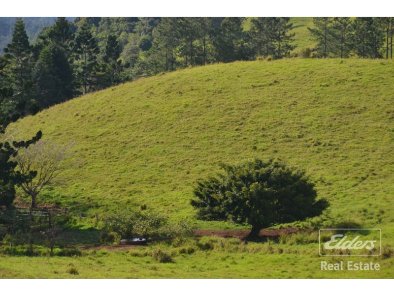 Millaa Millaa QLD 4886