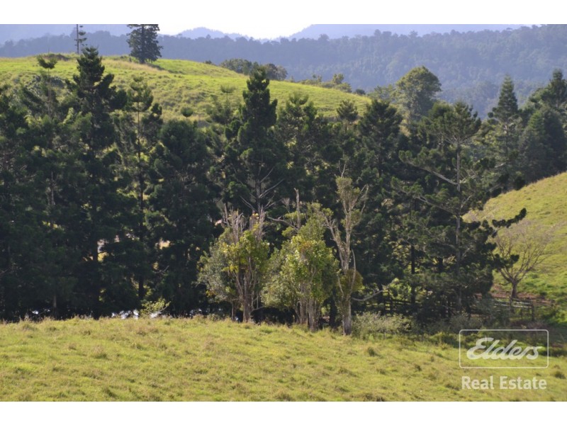 Millaa Millaa QLD 4886