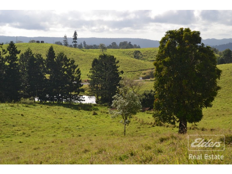 Millaa Millaa QLD 4886