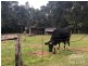 Tarzali QLD 4885