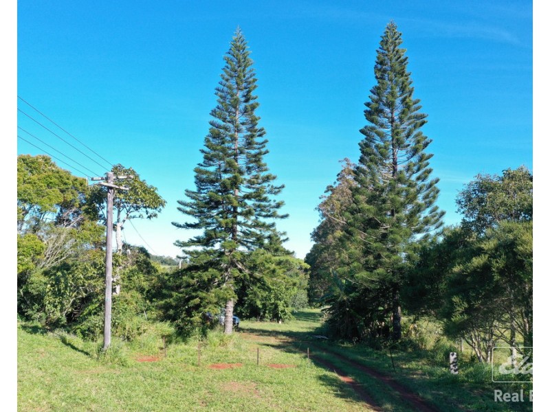 Yungaburra QLD 4884
