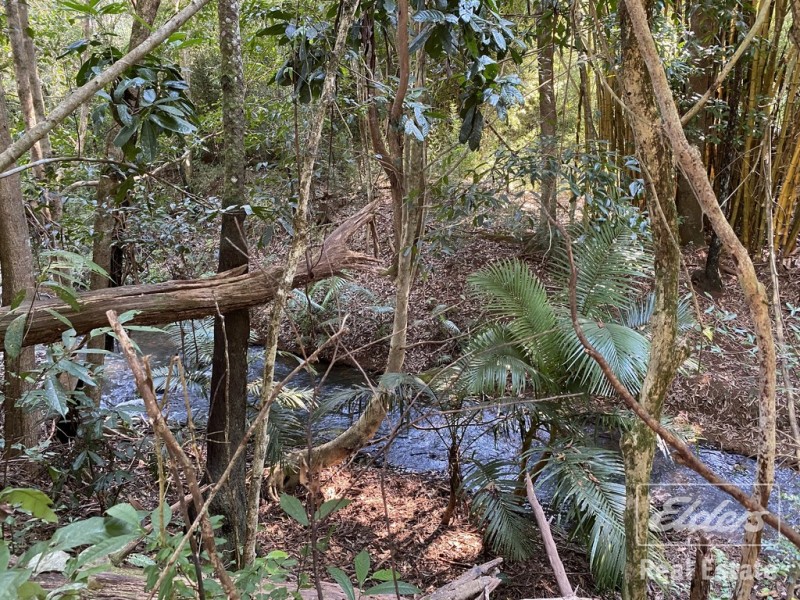 Malanda QLD 4885
