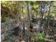 Malanda QLD 4885