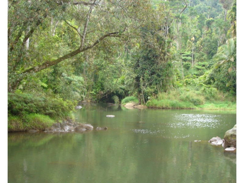 Tarzali QLD 4885