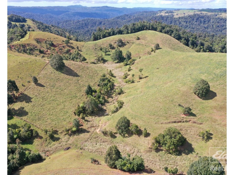 Tarzali QLD 4885