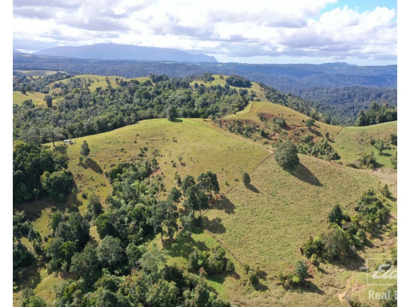 Tarzali QLD 4885