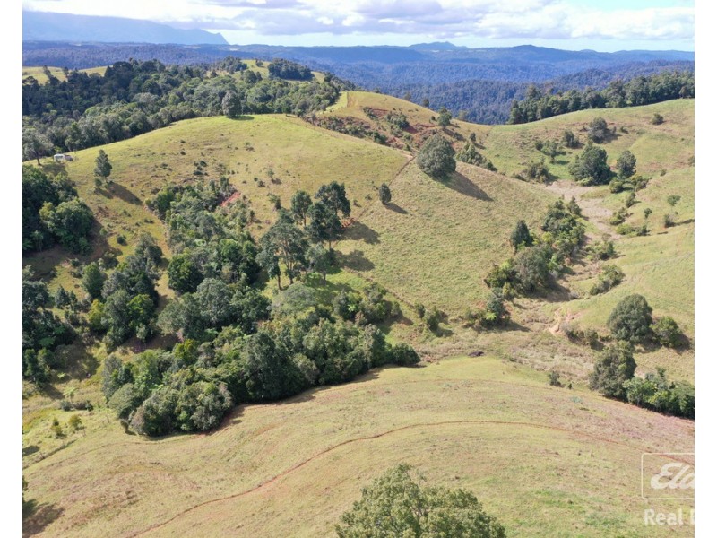 Tarzali QLD 4885