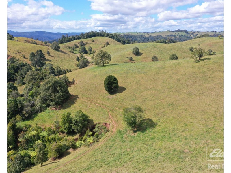 Tarzali QLD 4885