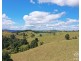 Tarzali QLD 4885