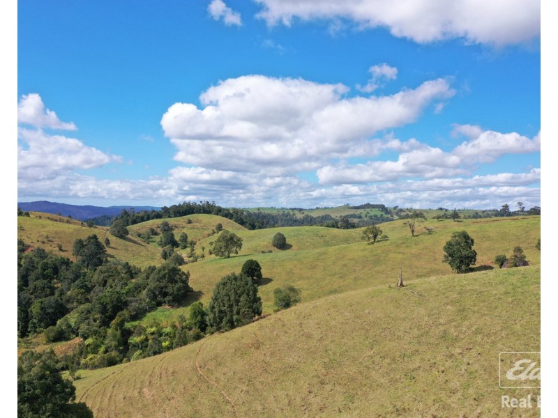 Tarzali QLD 4885