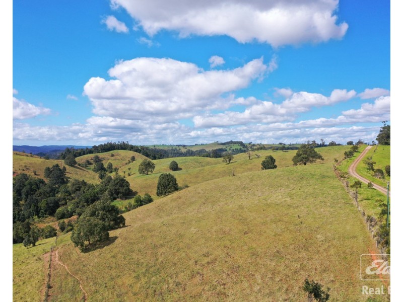 Tarzali QLD 4885