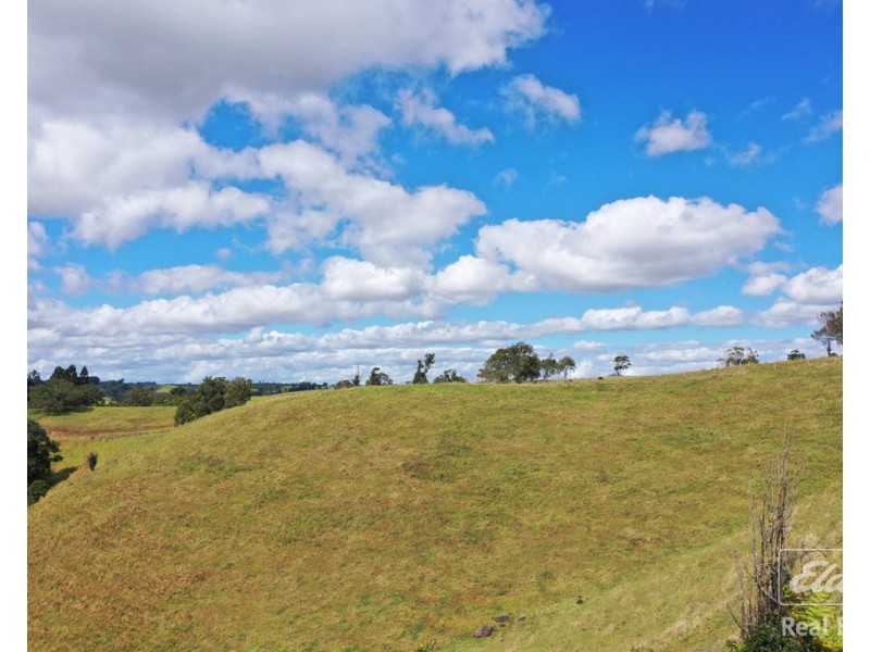 Tarzali QLD 4885