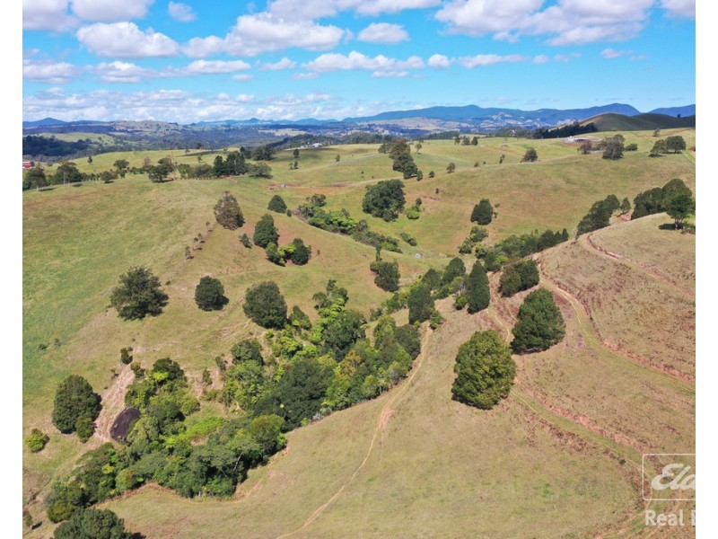 Tarzali QLD 4885