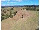 Tarzali QLD 4885